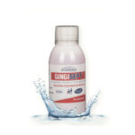 gingisept-bain-de-bouche-250ml.jpg